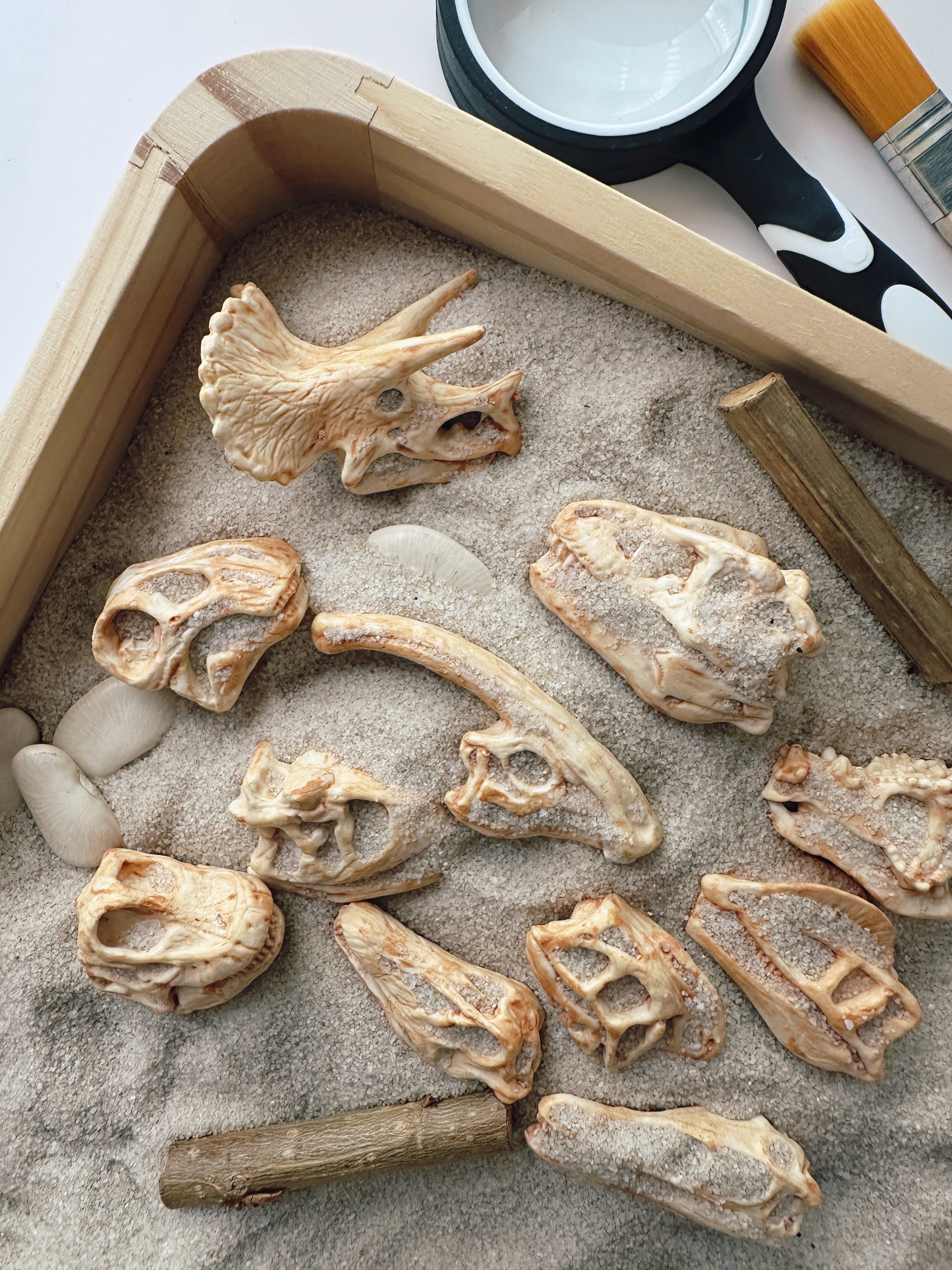 Fossil Dig Discovery Mini Sensory Bin