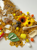 Bee Life Cycle Mini Sensory Bin