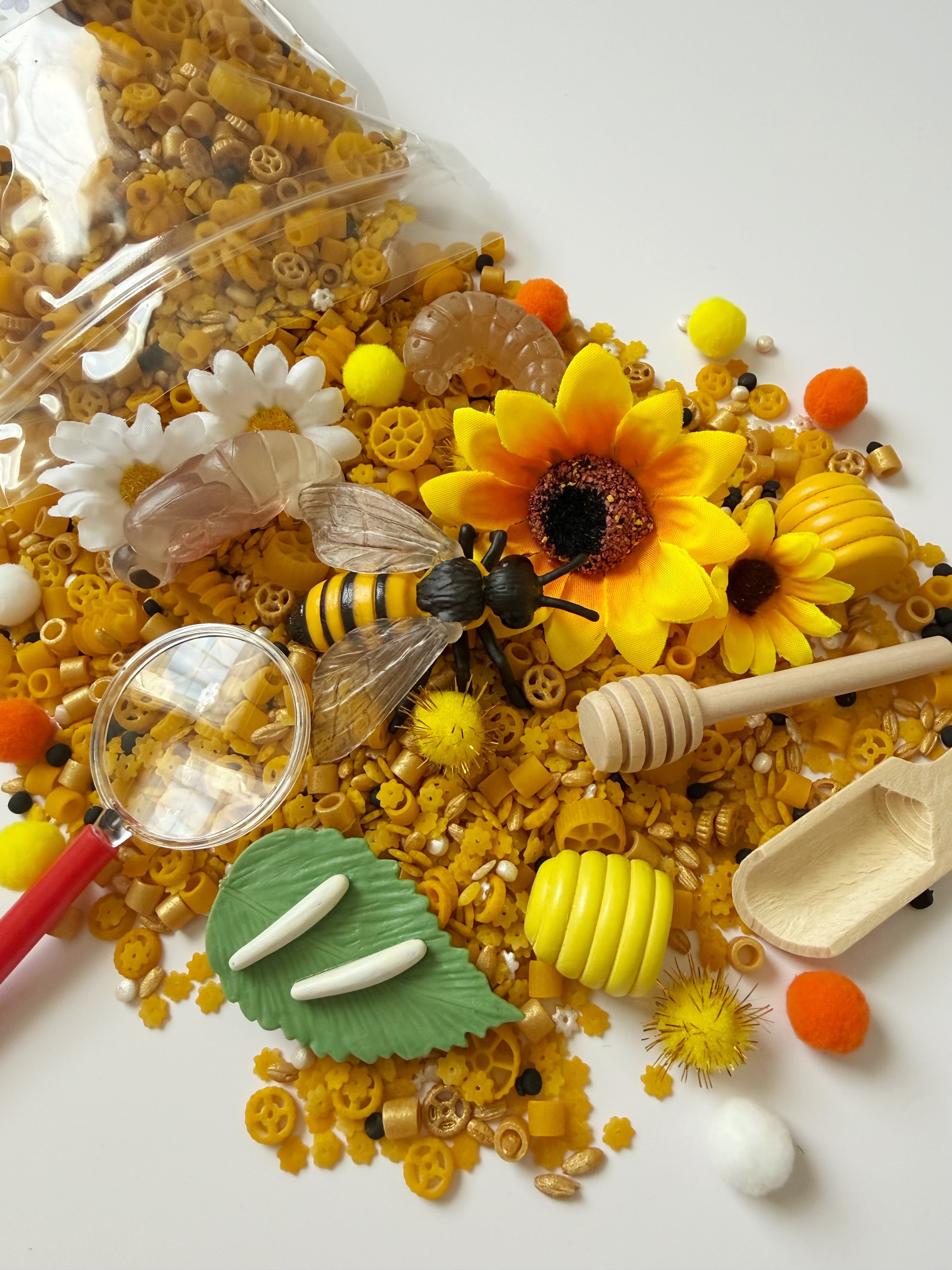 Bee Life Cycle Mini Sensory Bin