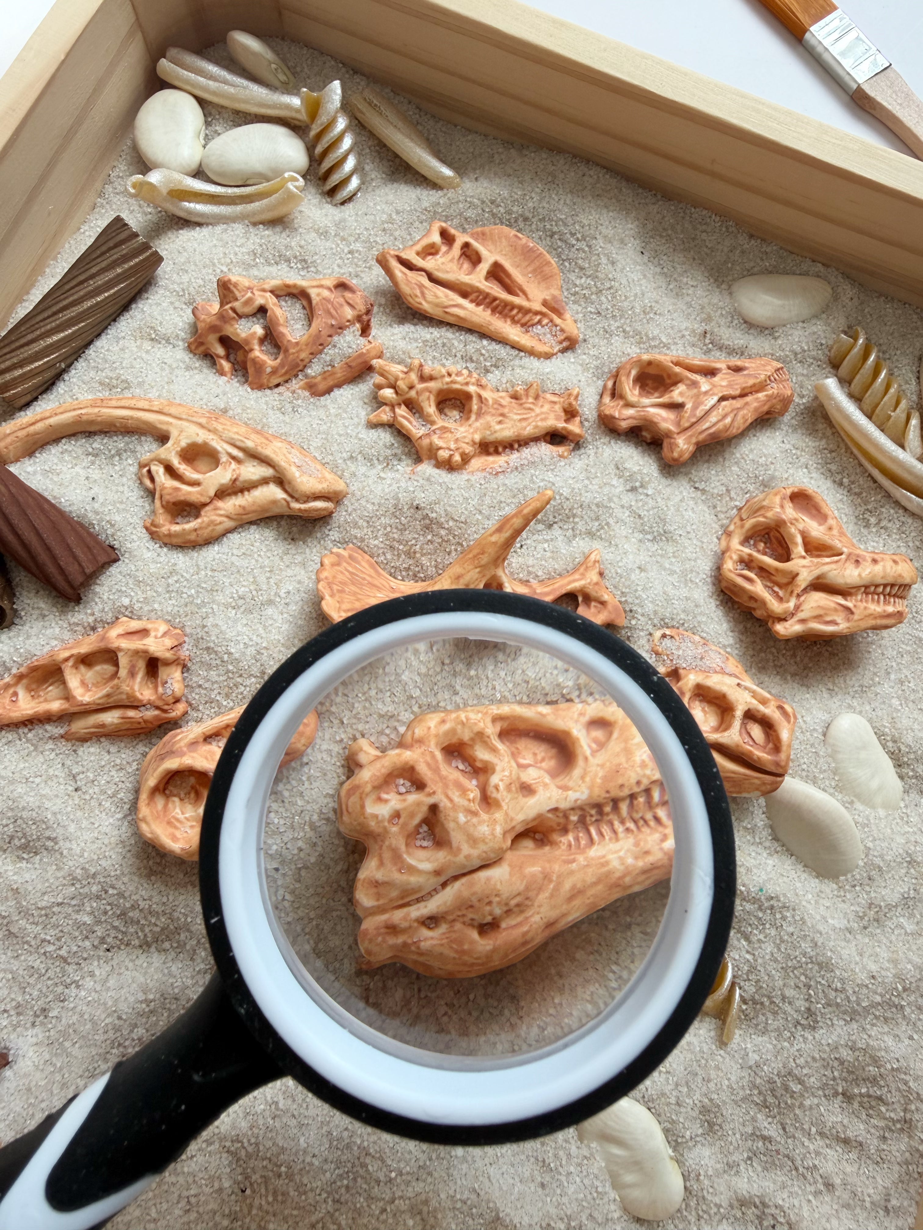 Fossil Dig Discovery Mini Sensory Bin