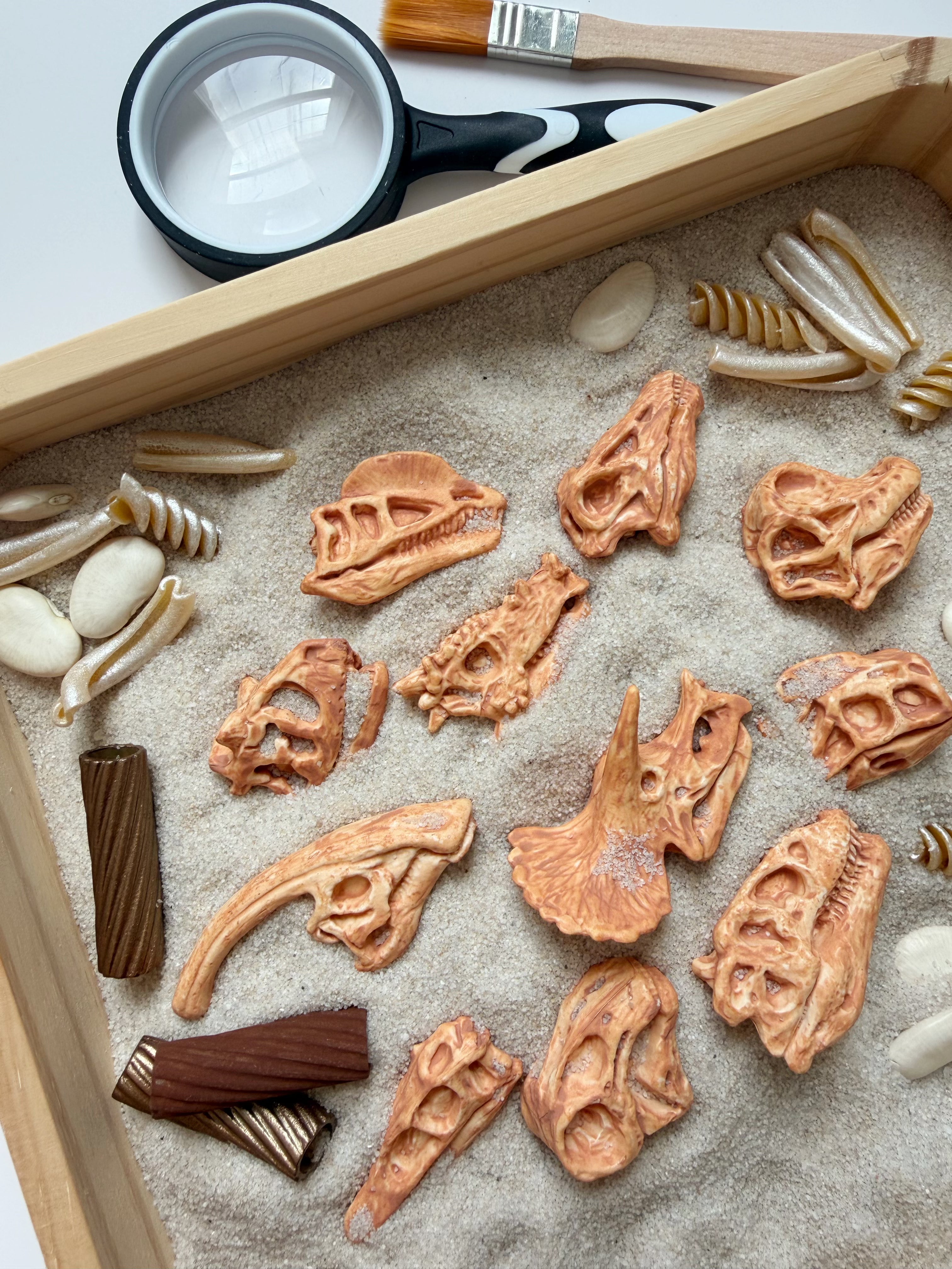 Fossil Dig Discovery Mini Sensory Bin